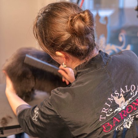 Baroxx-Into-Media-by-Ciske-1809